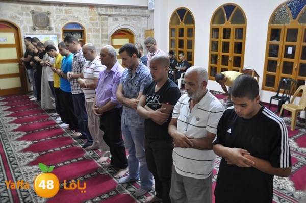 msajed amer qder 804 (22).JPG